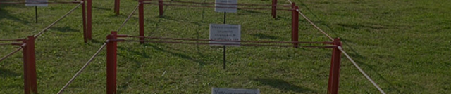 Выделение места на кладбище